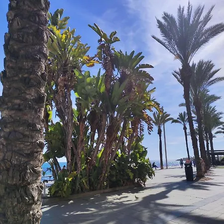Violetta Apartment Torrevieja